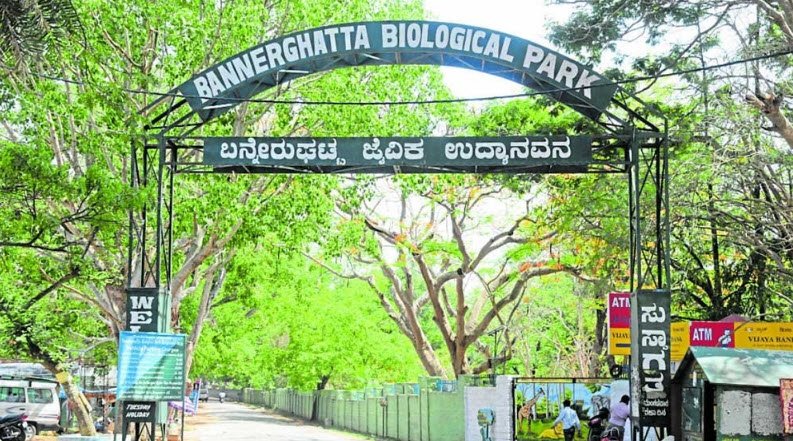 Bannerghatta National Park, Bengaluru (Bangalore) Urban, Karnataka - Vushii.com Bannerghatta National Park, Bengaluru (Bangalore) Urban, Karnataka - Vushii.com